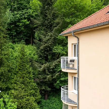 Lejlighed Large Mandala -sauna By Interhome Jáchymov